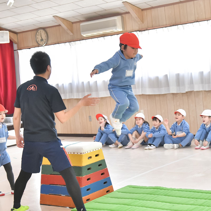 デイリープログラム