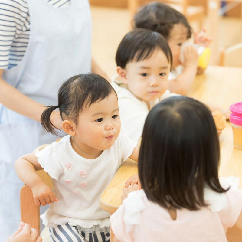 保育・教育プログラム