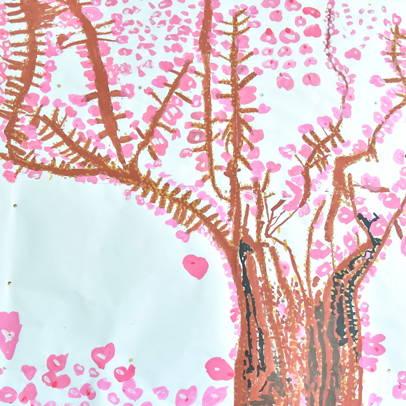 自由活動の様子